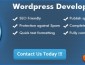 WordPress Development Company