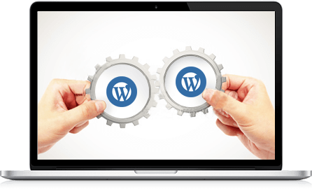 Wordpress Solution