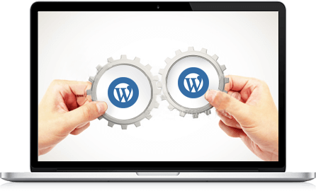 Wordpress Solution 